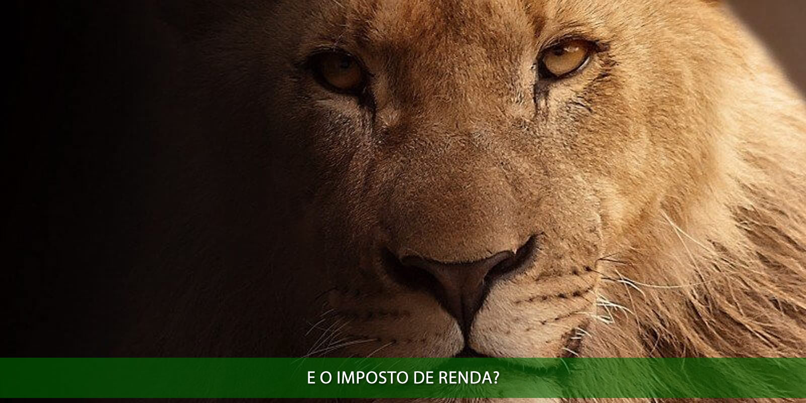 Figura 5 - CLT E MEI. COMO ABRIR UMA MEI SENDO FUNCIONÁRIO REGISTRADO COM CLT